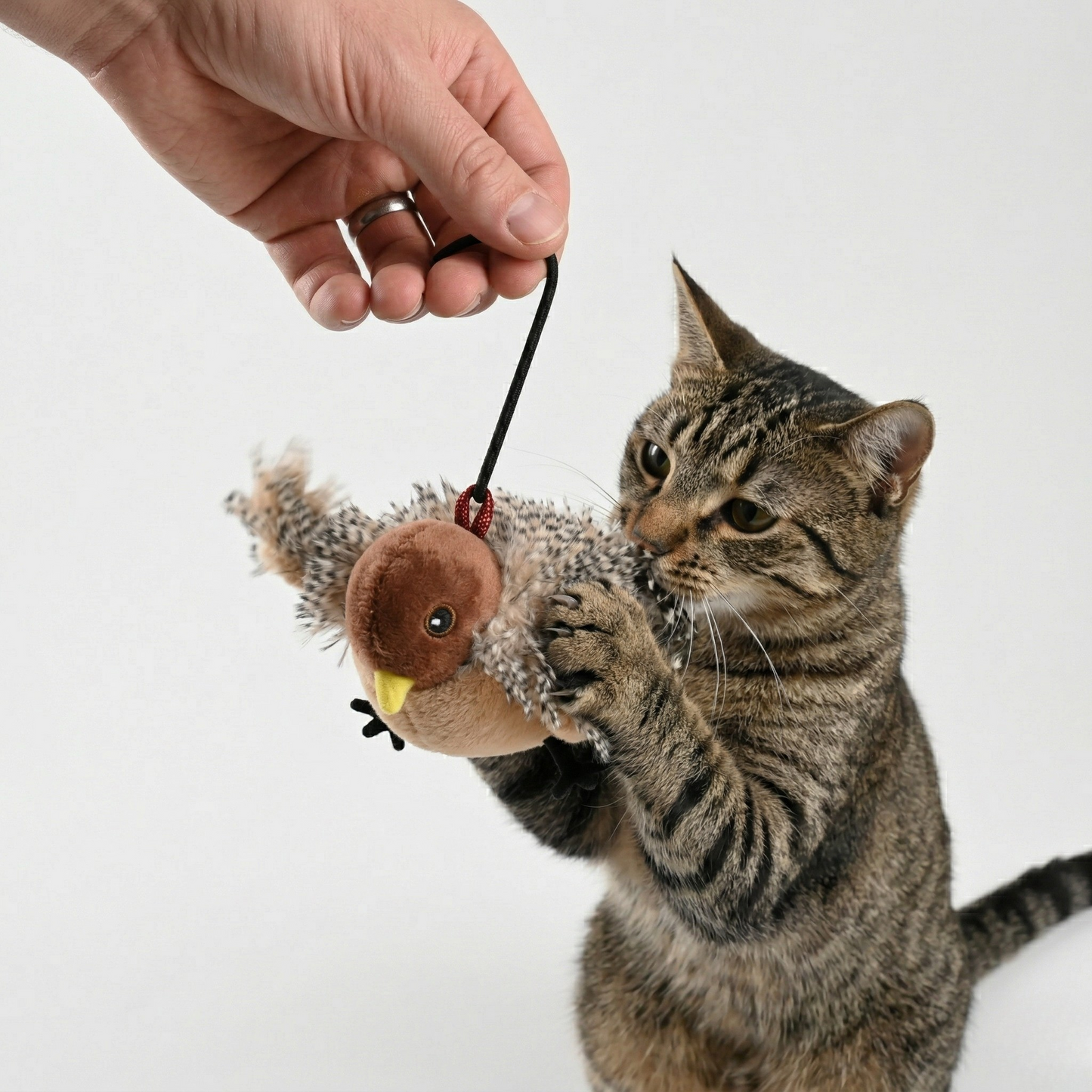 Flutter Sparrow Interactive Cat Toy — Flapping Wings & Chirp