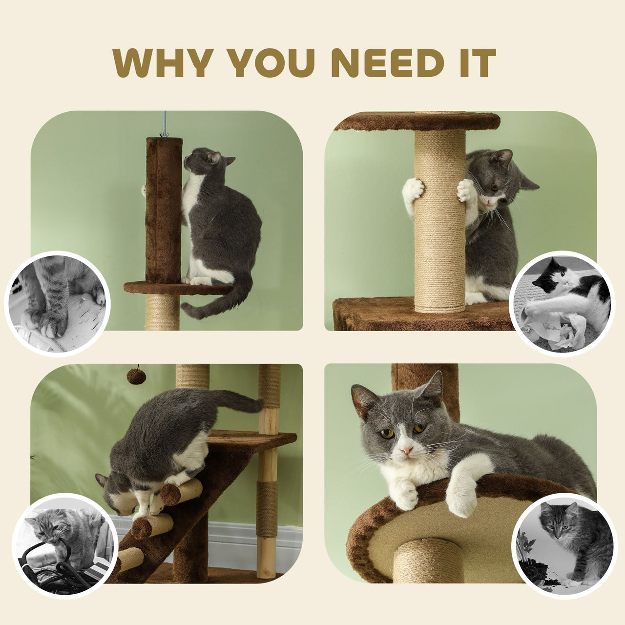 Apollo’s Corner Sky Loft Cat Tower - Apollo's Corner
