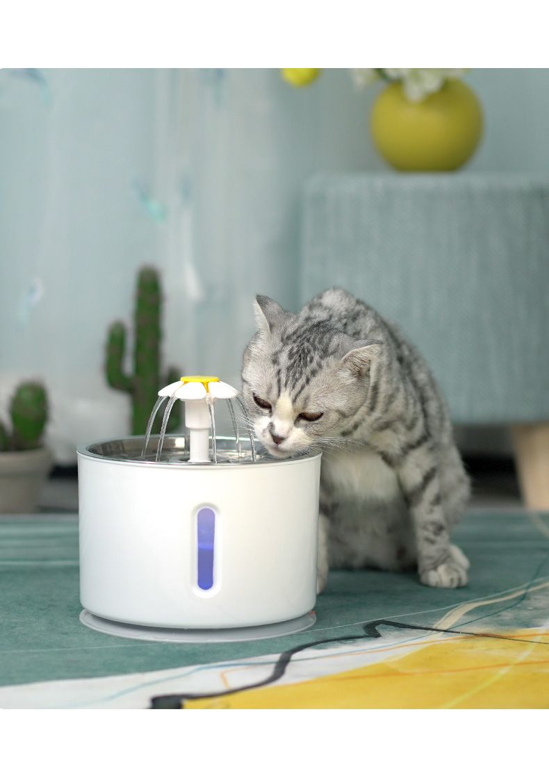 Automatic LED Pet Water Fountain; 2.4L Dispenser for Dogs & Cats - Apollo's Corner