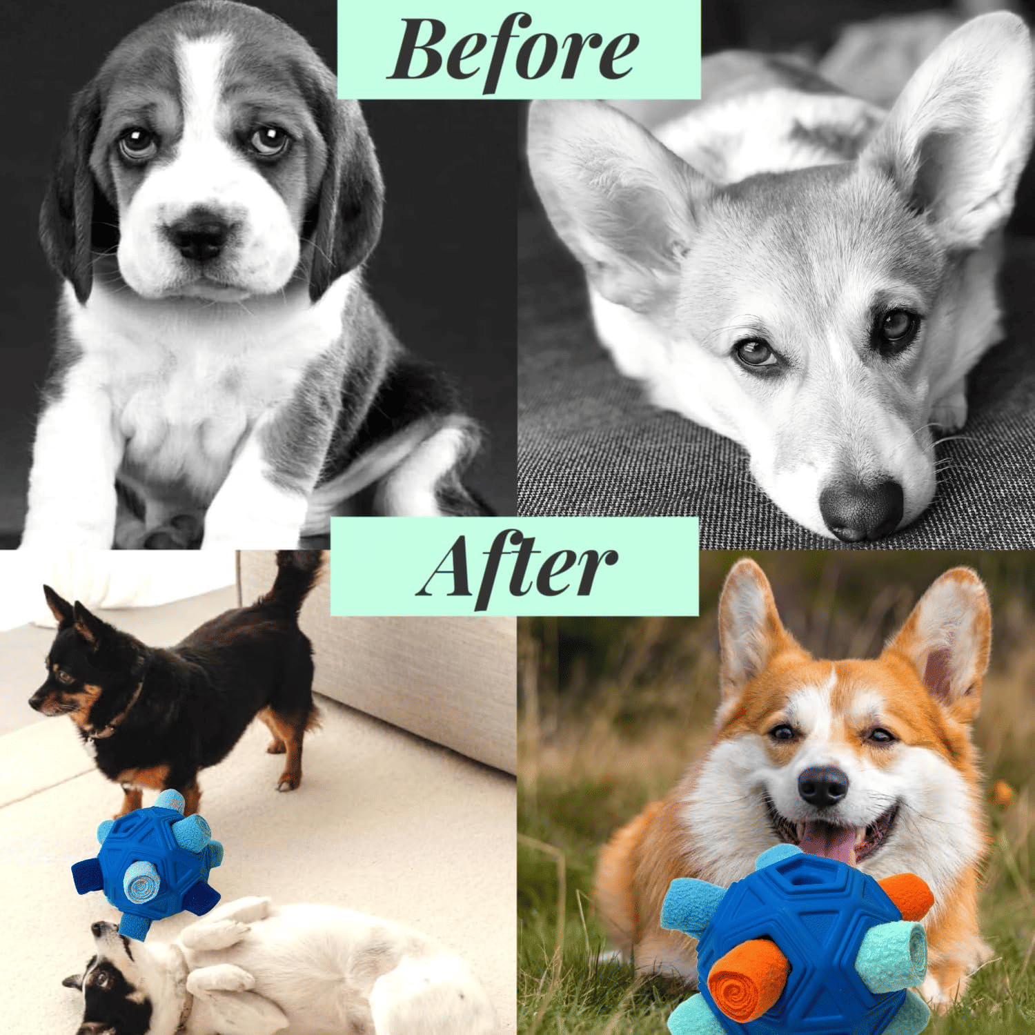 Blue Snuffle Puzzle Ball – Interactive Dog Treat Dispenser & Slow Feeder - Apollo's Corner