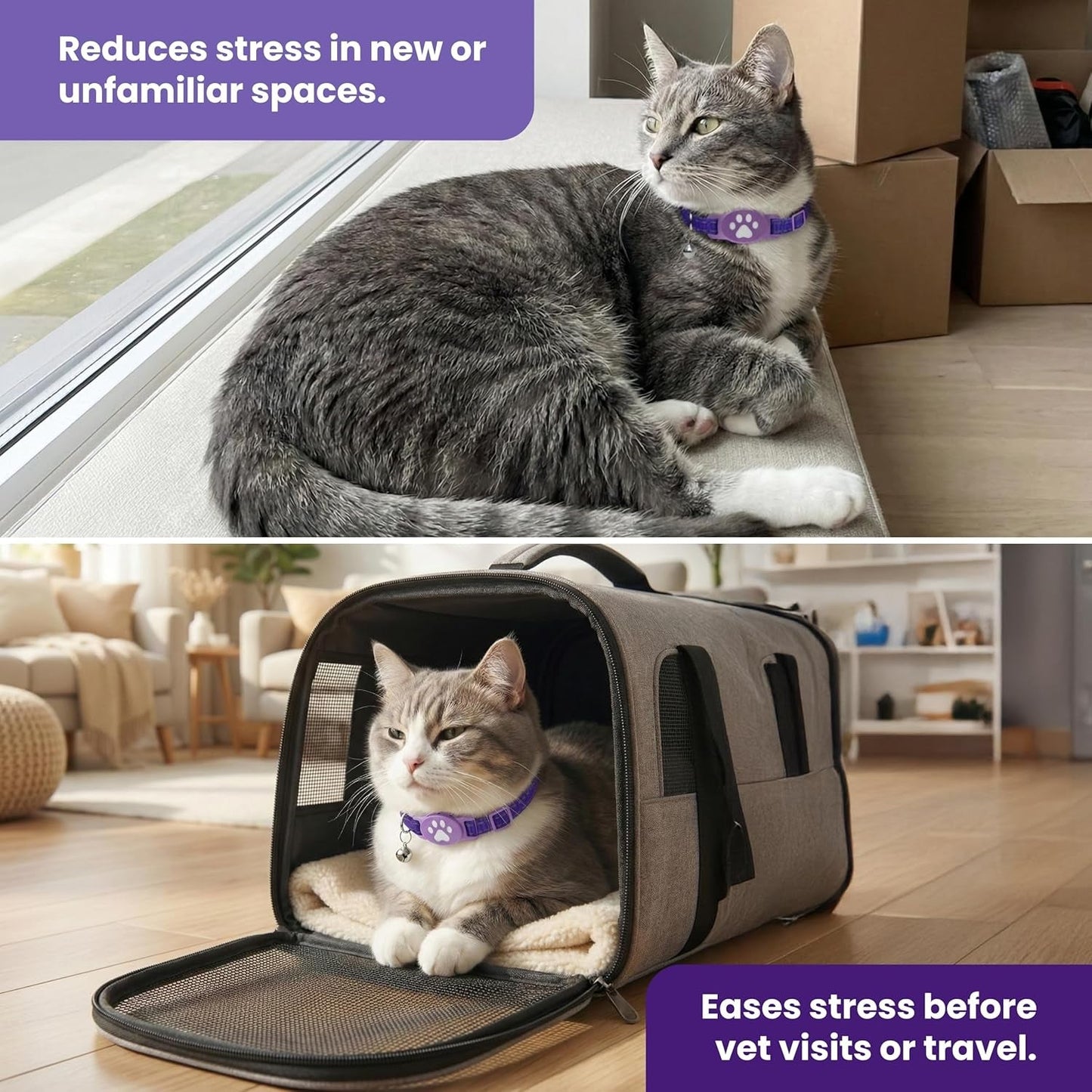 Cat Calming Collar — Breakaway Pheromone, Stress Relief