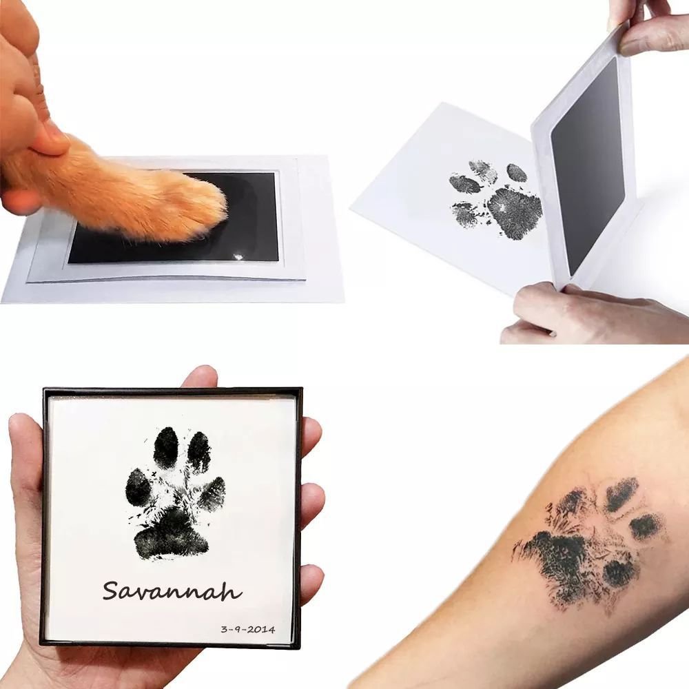 Clean Touch Paw Print Kit for Dogs & Cats; Mess - Free Ink Pad - Apollo's Corner