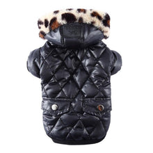 Cozy Zippered Cotton Padded Pet Apparel for Ultimate Comfort - Apollo's Corner