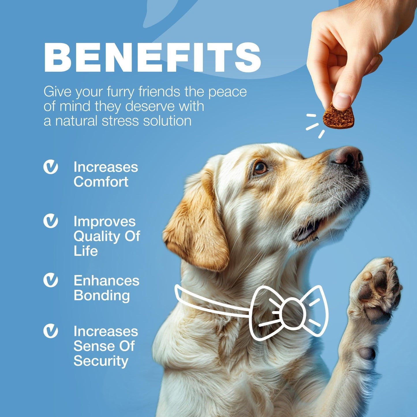 Hemp Calming Chews — L-Theanine, Chamomile & Valerian for Anxious Dogs