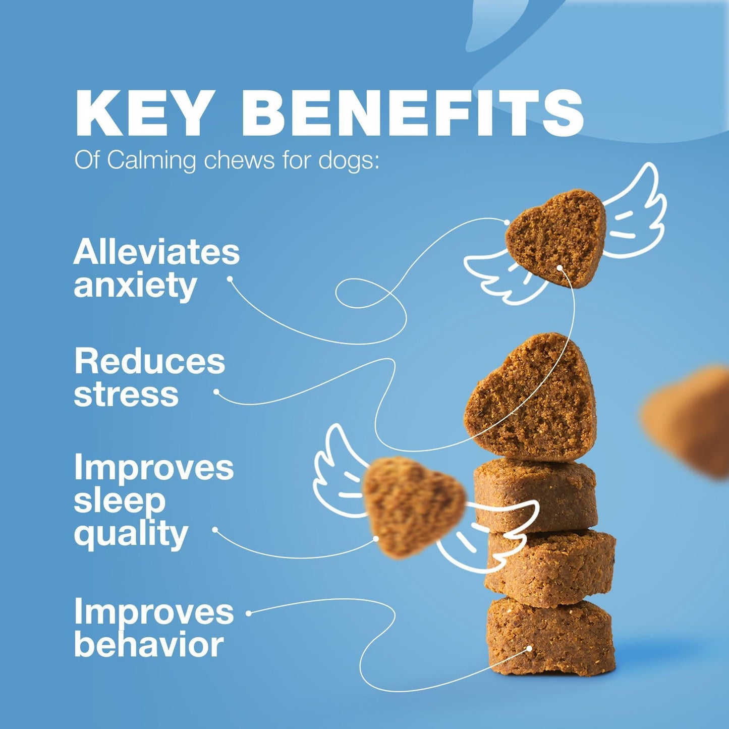Hemp Calming Chews — L-Theanine, Chamomile & Valerian for Anxious Dogs