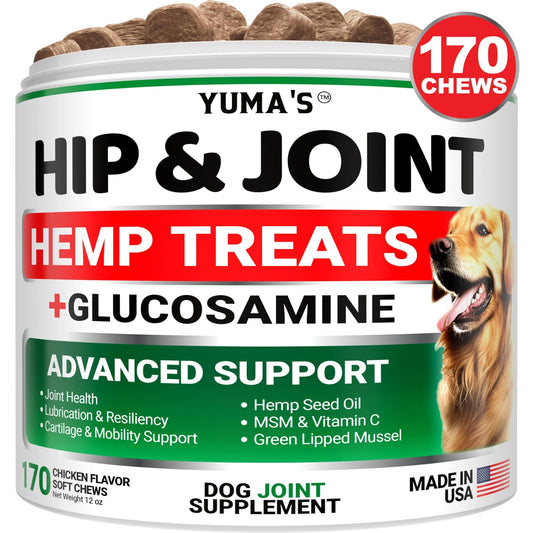 EasyRise Hip & Joint Chews — Glucosamine, MSM & Green Lipped Mussel for Stiff Dogs