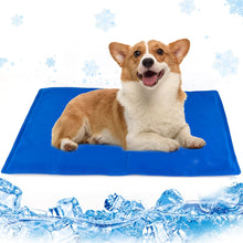 Dog Cooling Mat, Pet Cooling Mat for Dogs and Cats, Pressure Activated Dog Cooling Pad, No Water or Refrigeration Needed, Non - Toxic Gel - Apollo's Corner