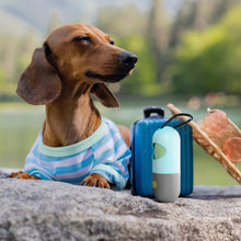 Dog Poop Bag Dispenser with 4 Rolls of 15 Bags in Each. 60 bags Green Dog Poop Bag Holder with Flashlight for Leash. Dog Bag Dispenser with Carabiner Clip. Poop Bags Holder for Walking - Apollo's Corner