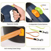 Double Paws Swivel Lead - Apollo's Corner