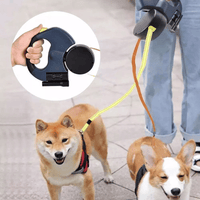 Double Paws Swivel Lead - Apollo's Corner