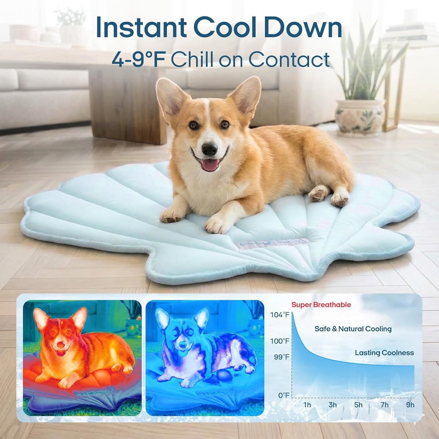 540258831