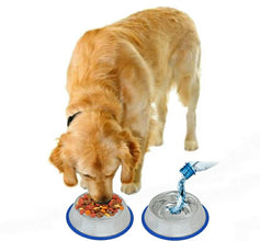 Etched Stainless Steel Dog Bowls with Blue Silicone Base - Apollo's Corner
