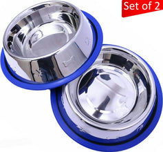 Etched Stainless Steel Dog Bowls with Blue Silicone Base - Apollo's Corner