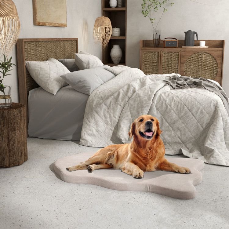 Extra Support Orthopedic Memory Foam Dog Bed - Apollo's Corner