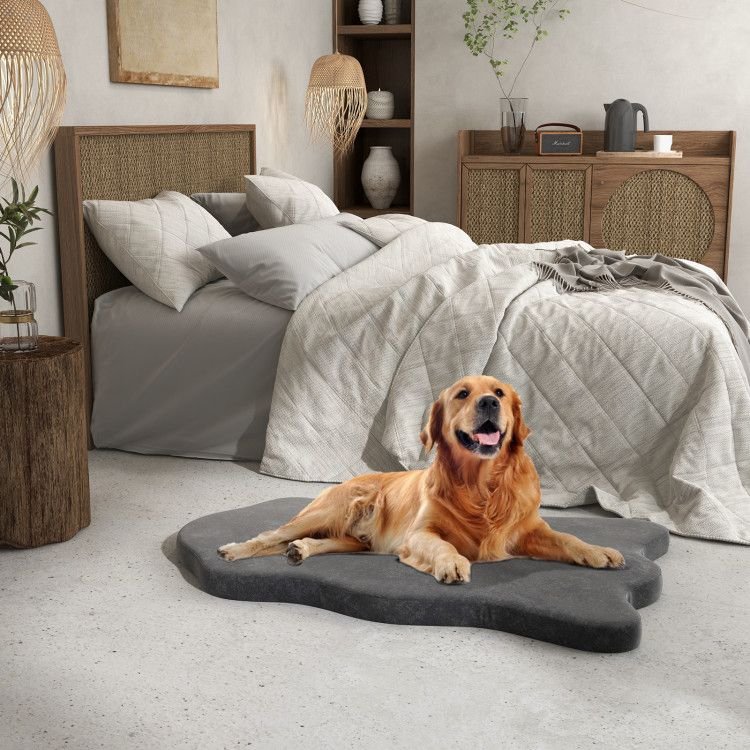 Extra Support Orthopedic Memory Foam Dog Bed - Apollo's Corner
