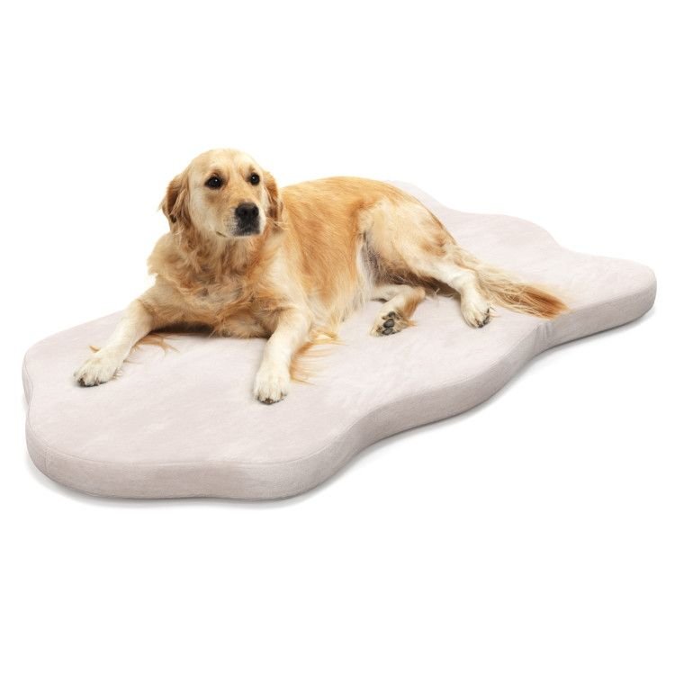 Extra Support Orthopedic Memory Foam Dog Bed - Apollo's Corner