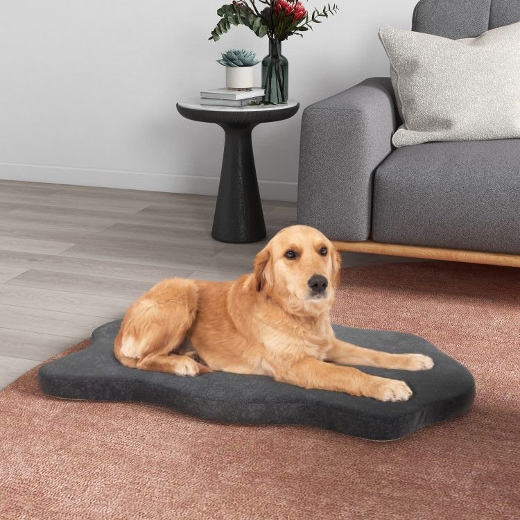 Extra Support Orthopedic Memory Foam Dog Bed - Apollo's Corner