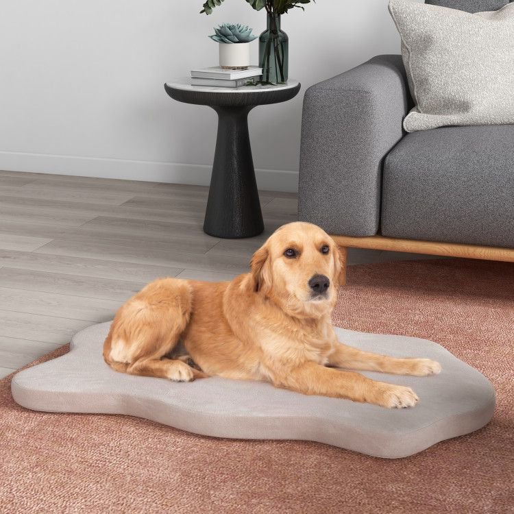 Extra Support Orthopedic Memory Foam Dog Bed - Apollo's Corner