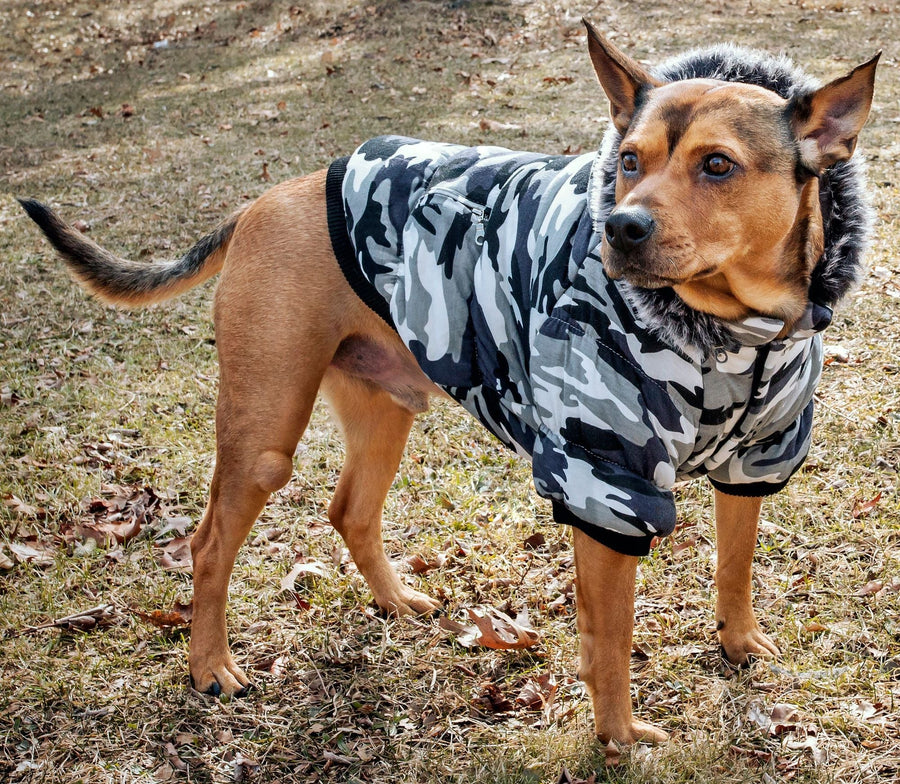 Fashion Pet Parka Coat - Apollo's Corner