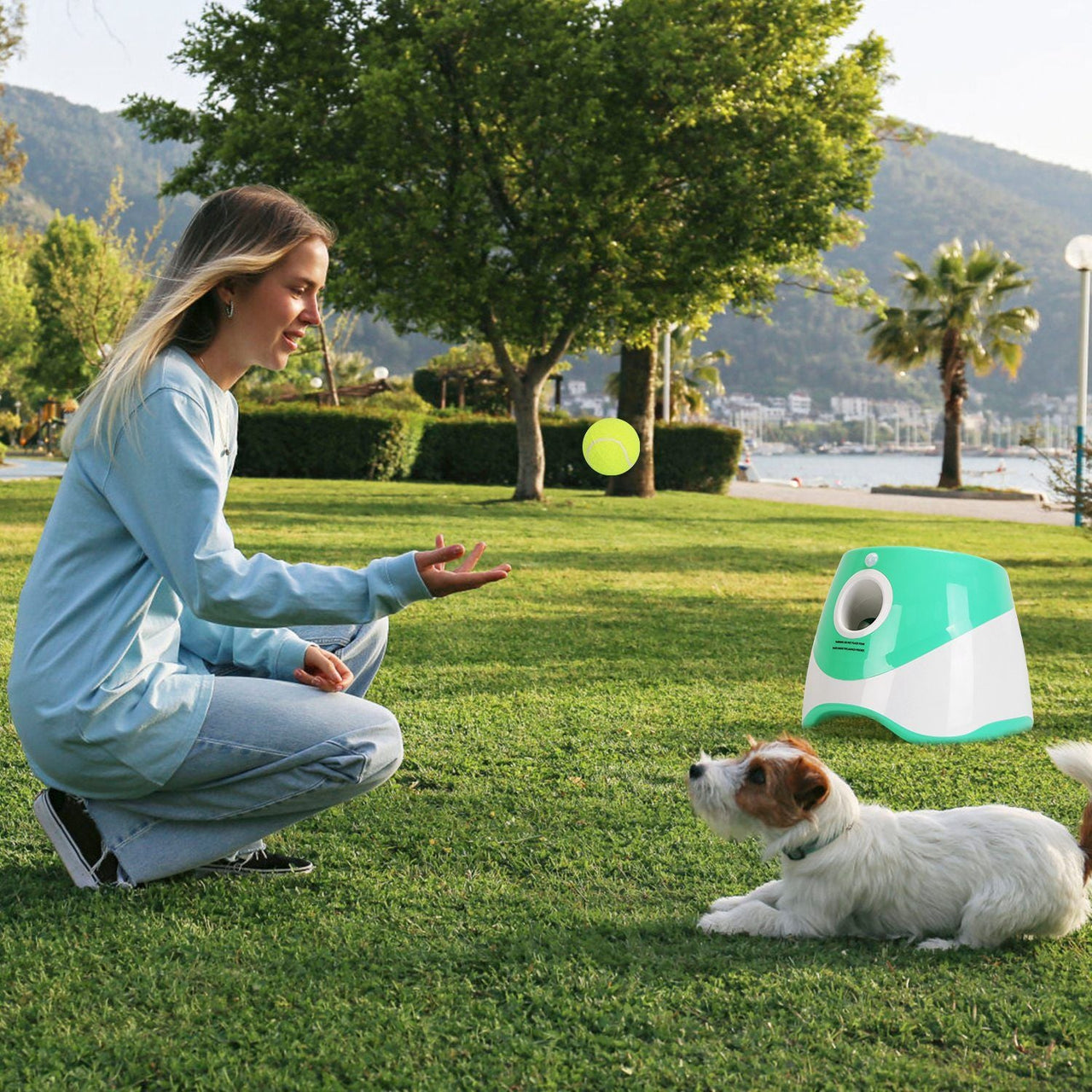 FetchPro Automatic Dog Ball Launcher - Apollo's Corner