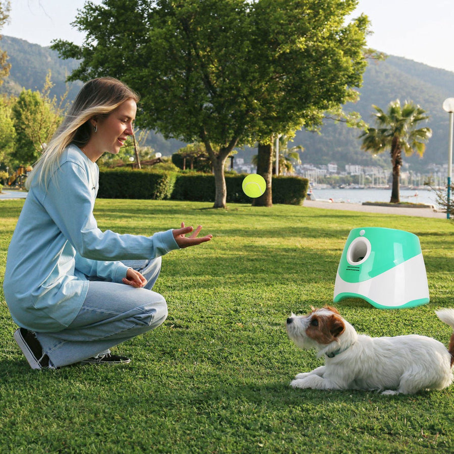 FetchPro Automatic Dog Ball Launcher - Apollo's Corner