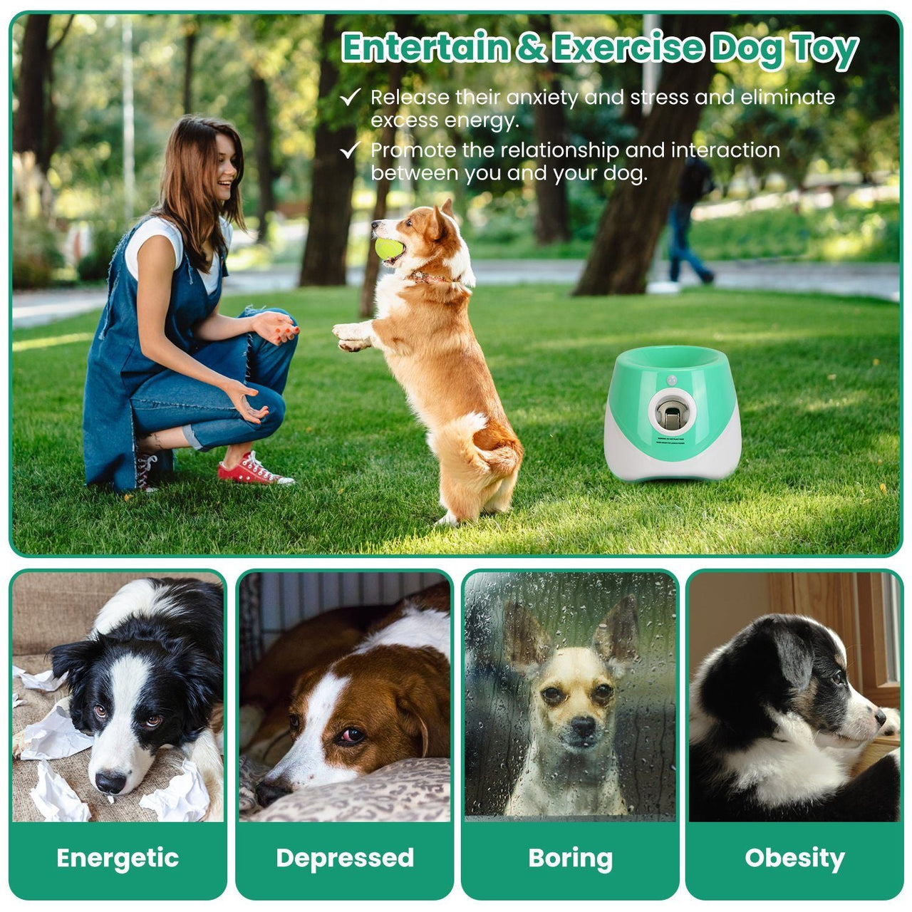 FetchPro Automatic Dog Ball Launcher - Apollo's Corner