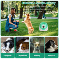 FetchPro Automatic Dog Ball Launcher - Apollo's Corner