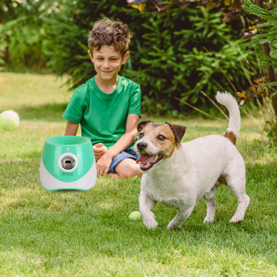 FetchPro Automatic Dog Ball Launcher - Apollo's Corner