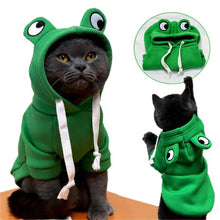 Frog Cat Hoodie Pet Sweater - Apollo's Corner