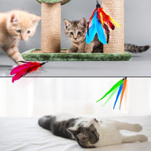Interactive Retractable Cat Toy Wand with Feather Refills and Bells - Fun Exercise for Cats and Kittens - Apollo's Corner