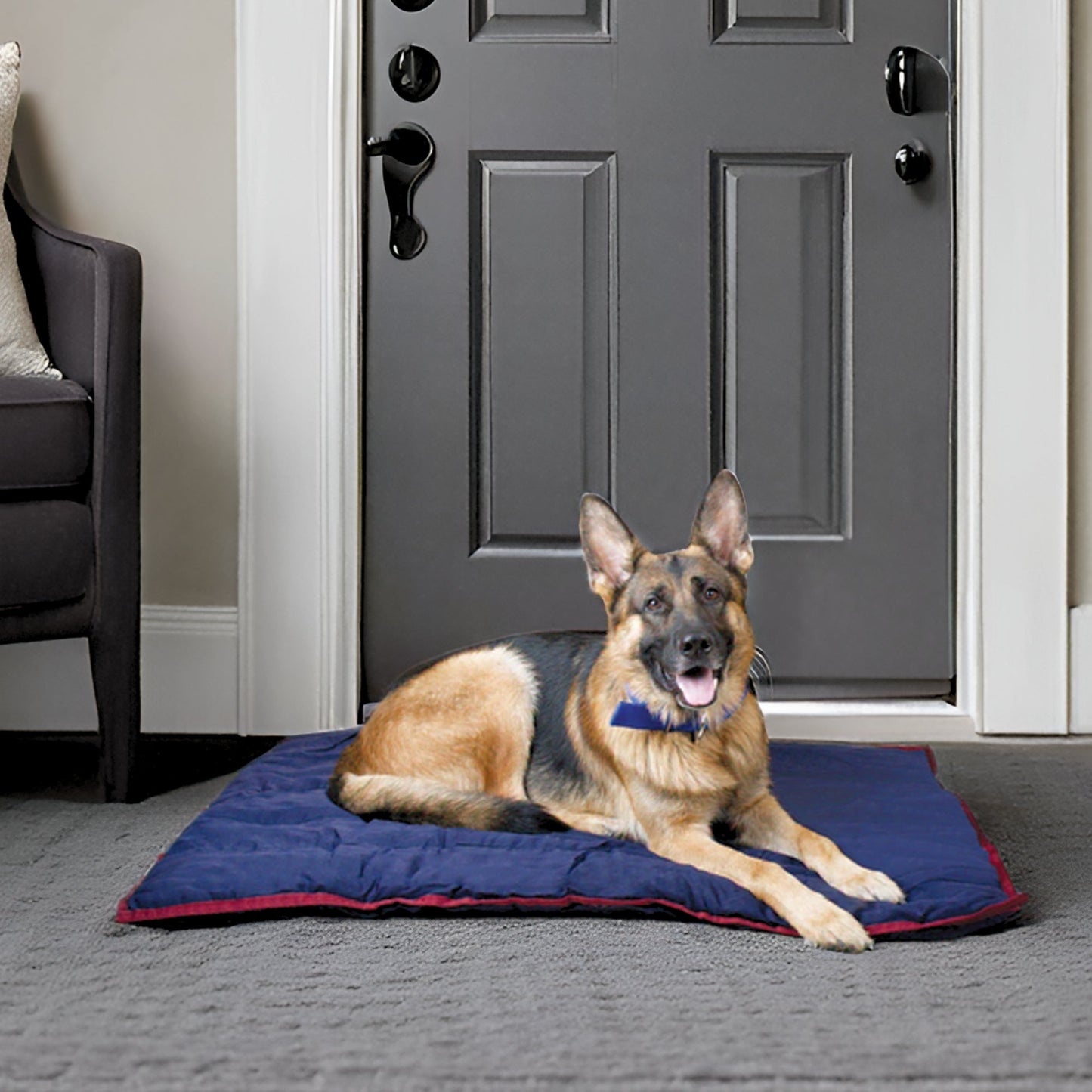 Jeffers Washable Dog Pillow — Flat Crate, Carrier & Travel Pad