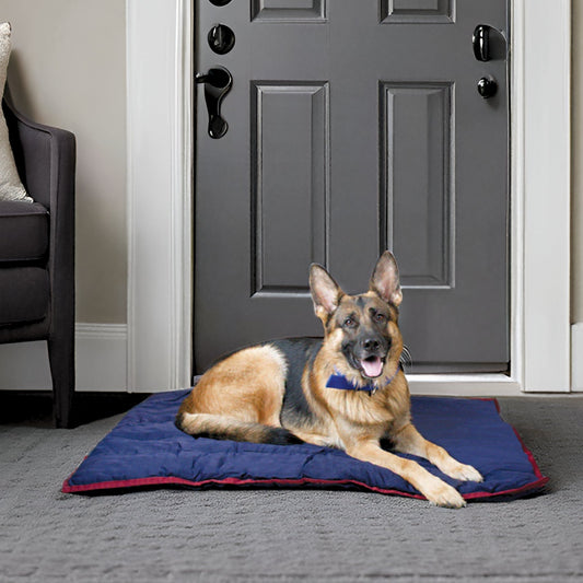 Jeffers Washable Dog Pillow — Flat Crate, Carrier & Travel Pad