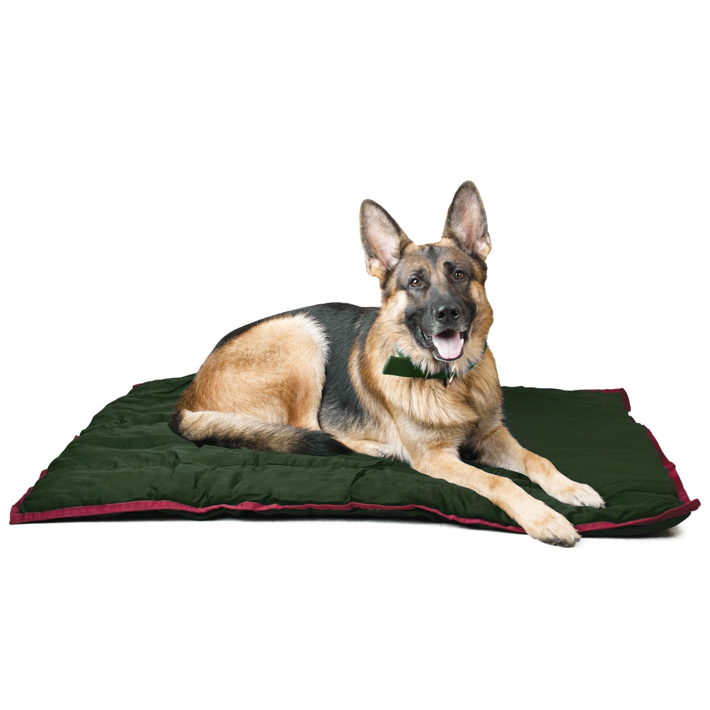 Jeffers Washable Dog Pillow — Flat Crate, Carrier & Travel Pad