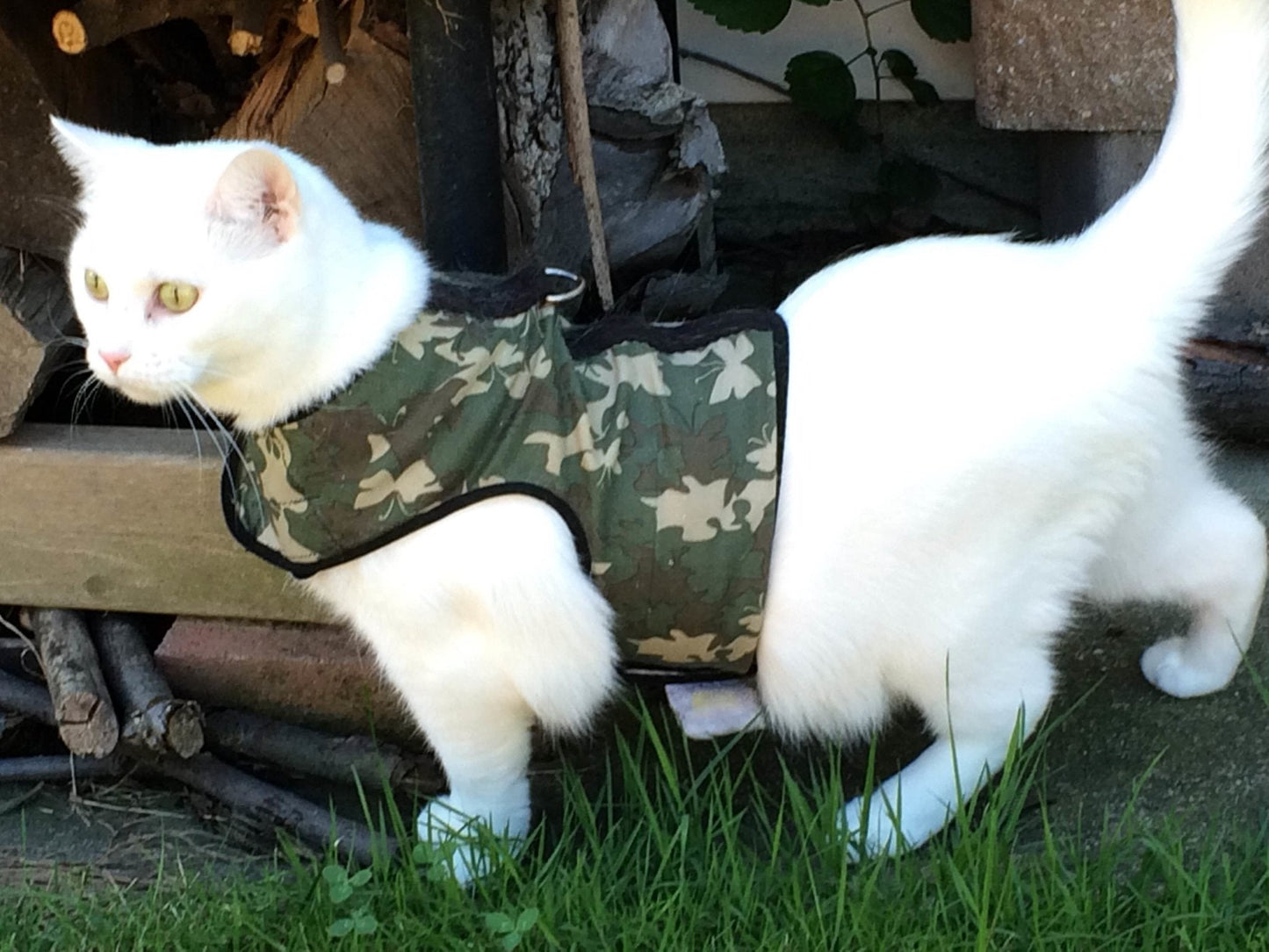 Kitty Holster Escape-Resistant Cat Harness (Made in USA)