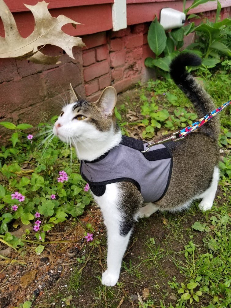 Kitty Holster Escape-Resistant Cat Harness (Made in USA)