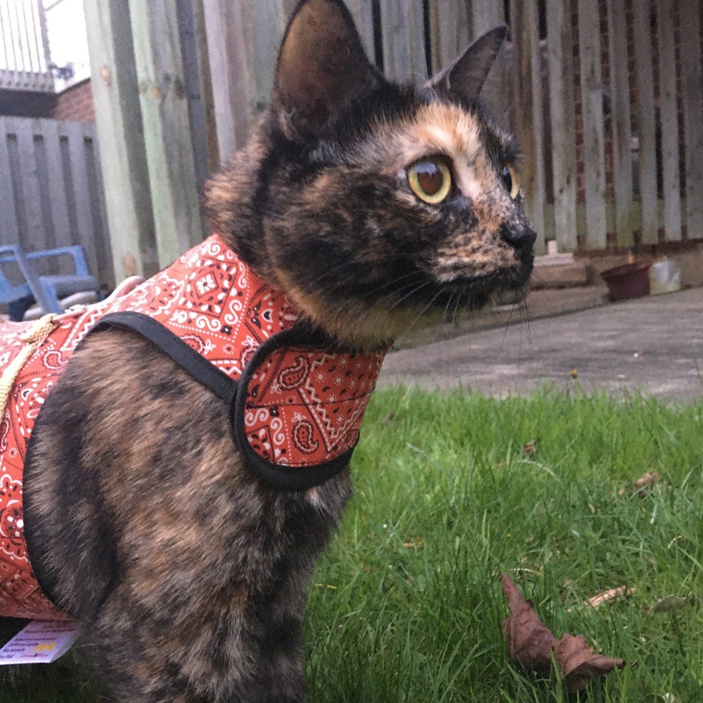 Kitty Holster Escape-Resistant Cat Harness (Made in USA)