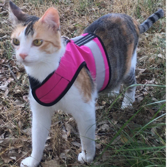 Kitty Holster Reflective Safety Cat Harness Made in USA - Adjustable Harness for Cats