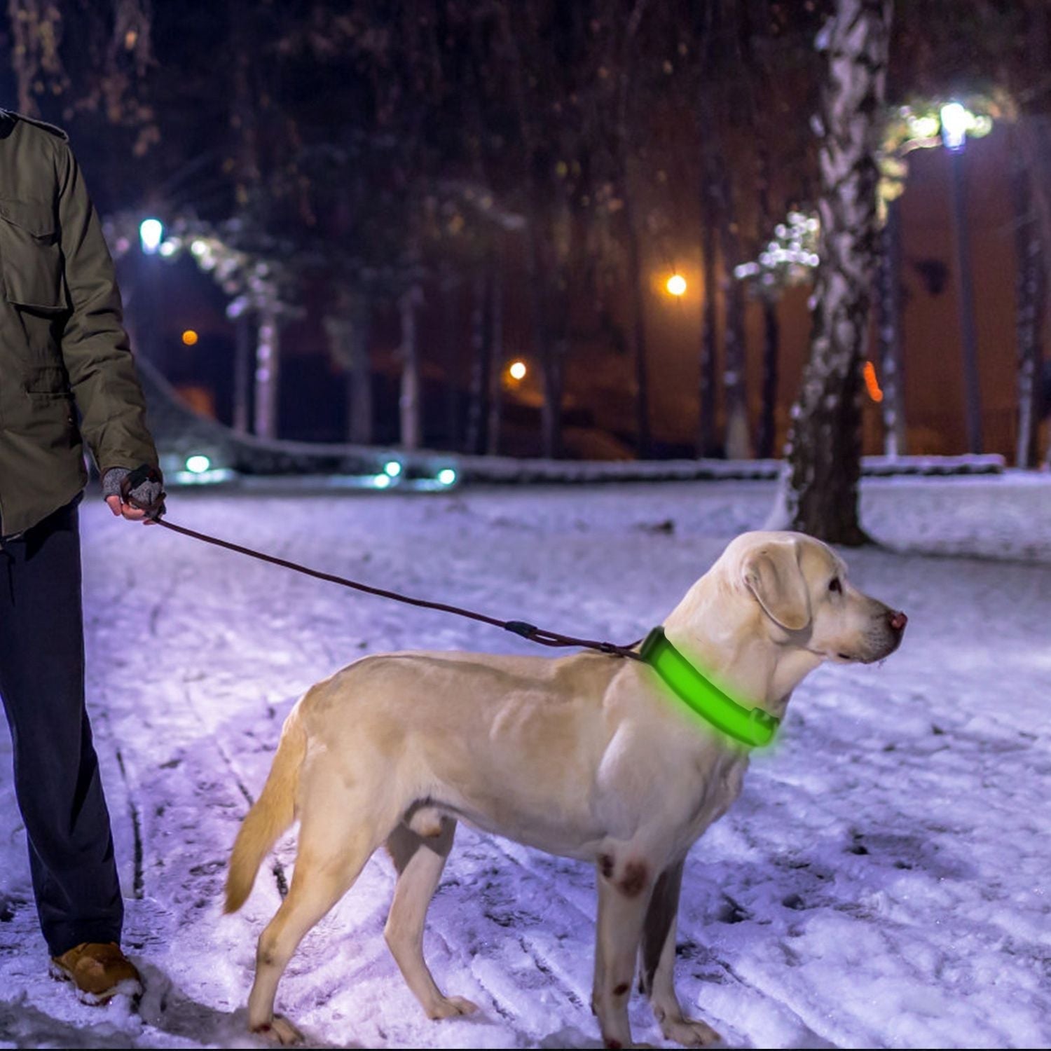 LED Dog Collar USB Rechargeable Adjustable Dog Safety Collar Night Safety Flashing Luminous Light up Collar - Apollo's Corner