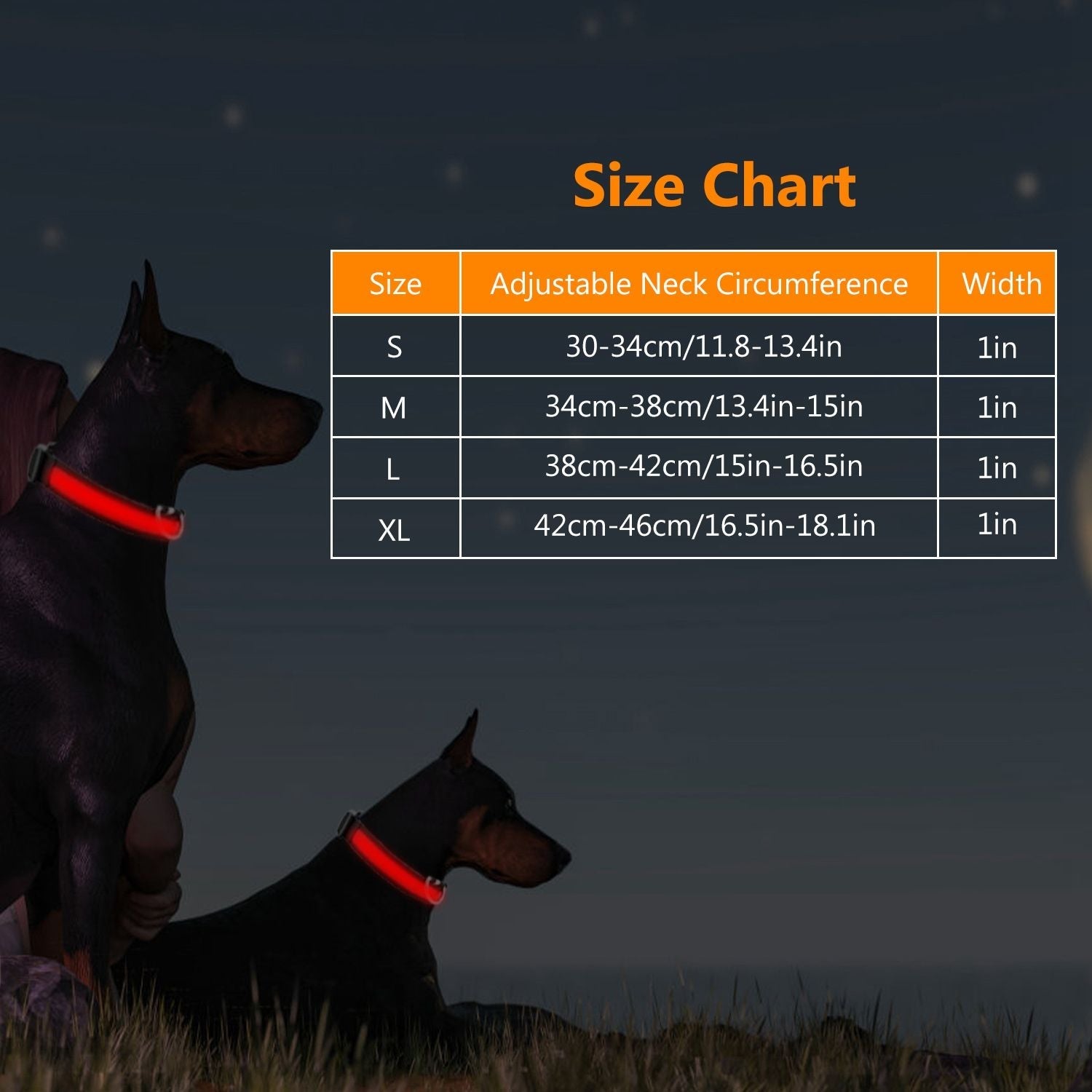 LED Dog Collar USB Rechargeable Adjustable Dog Safety Collar Night Safety Flashing Luminous Light up Collar - Apollo's Corner