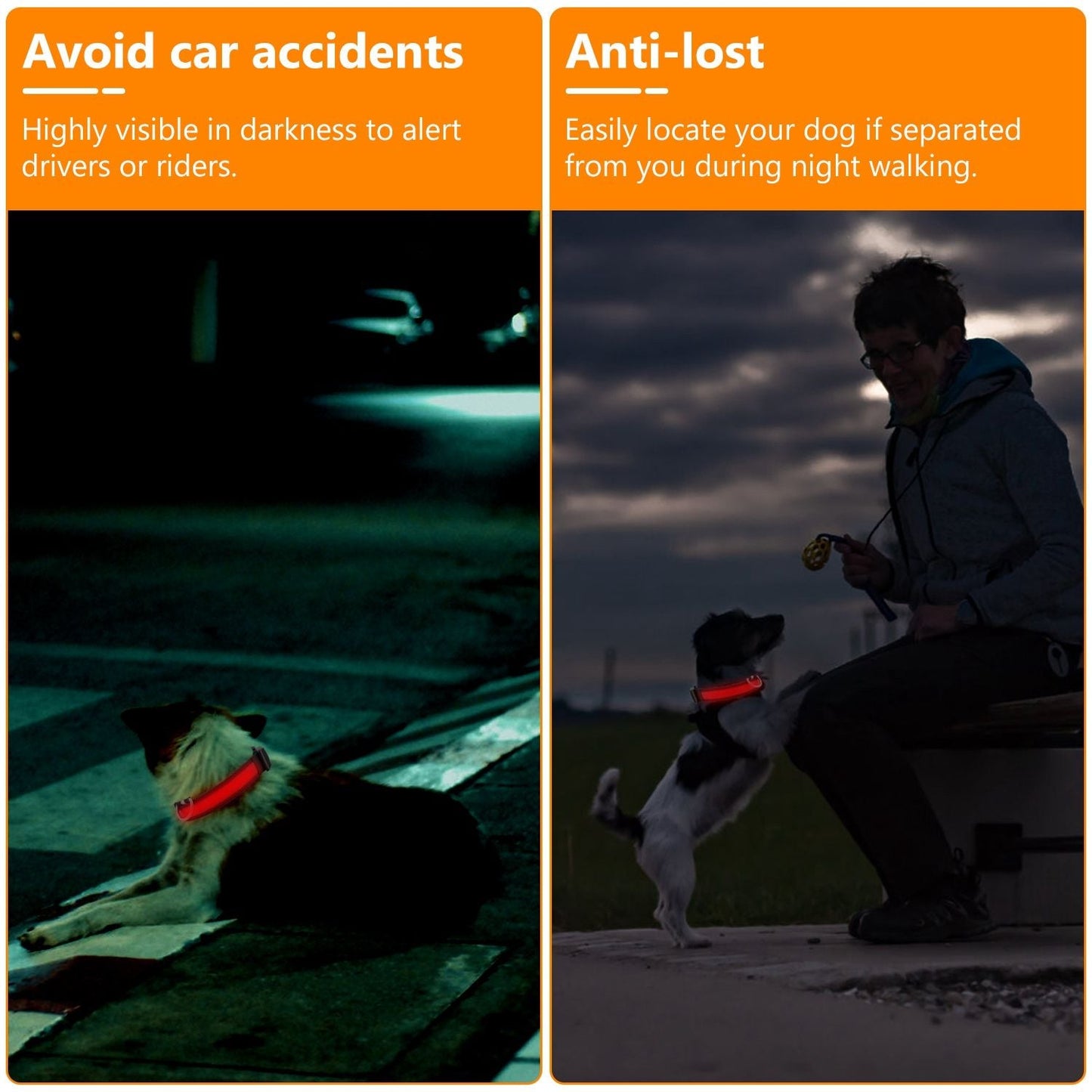 LED Dog Collar USB Rechargeable Adjustable Dog Safety Collar Night Safety Flashing Luminous Light up Collar - Apollo's Corner