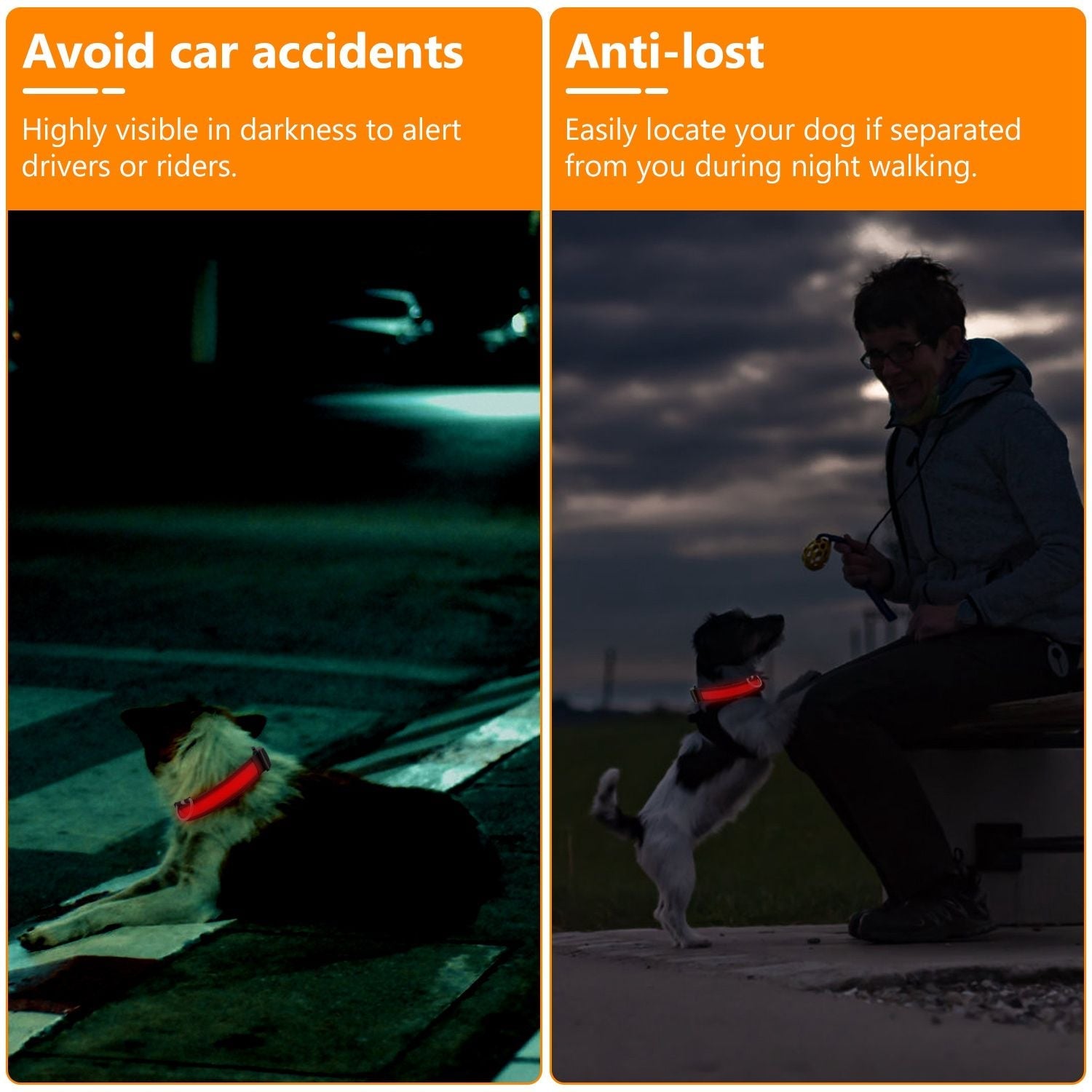 LED Dog Collar USB Rechargeable Adjustable Dog Safety Collar Night Safety Flashing Luminous Light up Collar - Apollo's Corner