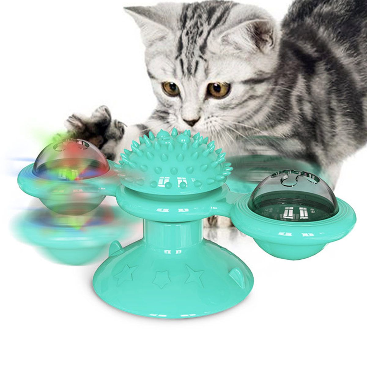 Meow Motion Spinner - Apollo's Corner