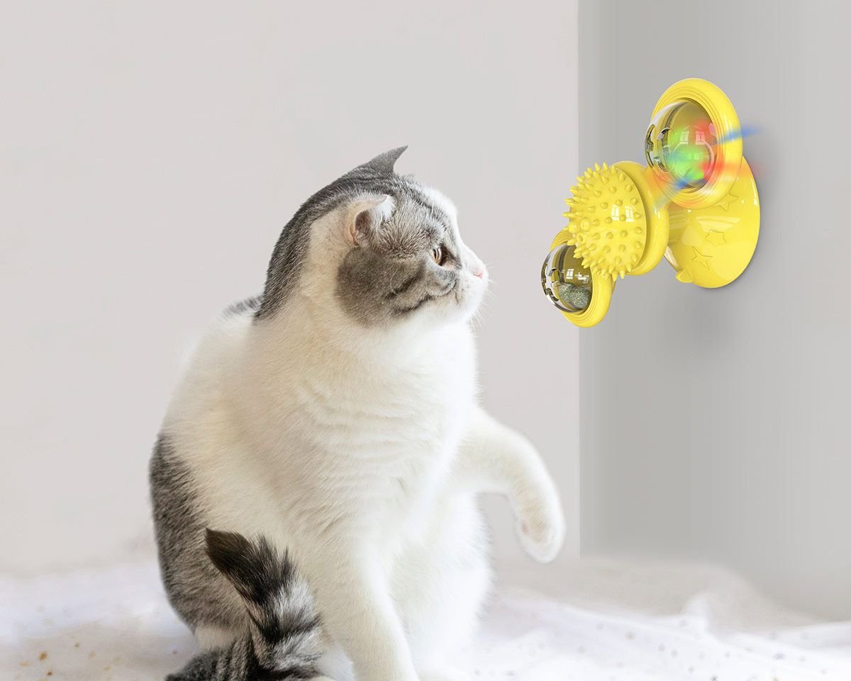 Meow Motion Spinner - Apollo's Corner