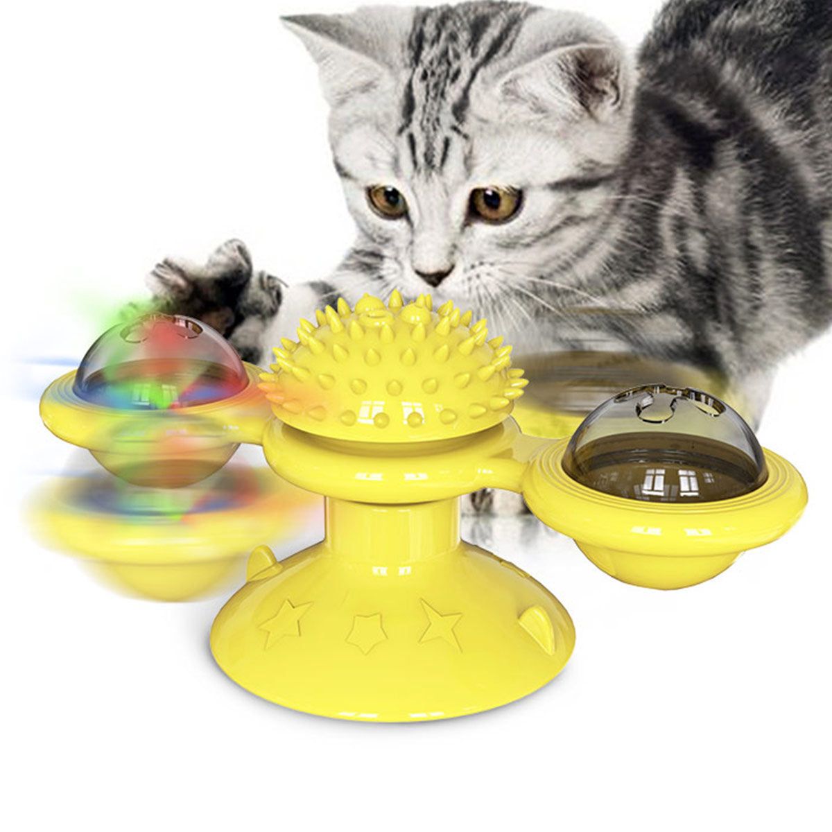 Meow Motion Spinner - Apollo's Corner