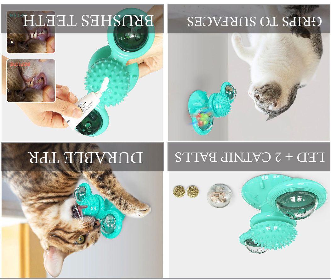 Meow Motion Spinner - Apollo's Corner