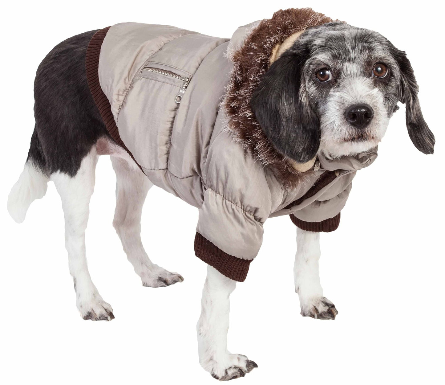 Metallic Fashion Pet Parka Coat with Thinsulate Insulation and Removable Faux Fur Hood