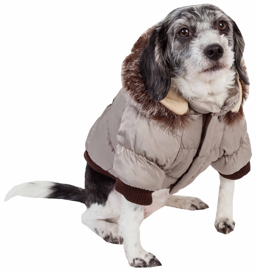 Metallic Fashion Pet Parka Coat - Apollo's Corner