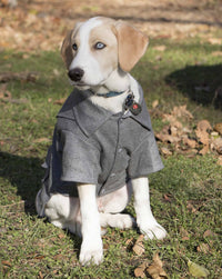 Military Static Rivited Fashion Collared Wool Pet Coat - Apollo's Corner