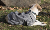 Military Static Rivited Fashion Collared Wool Pet Coat - Apollo's Corner