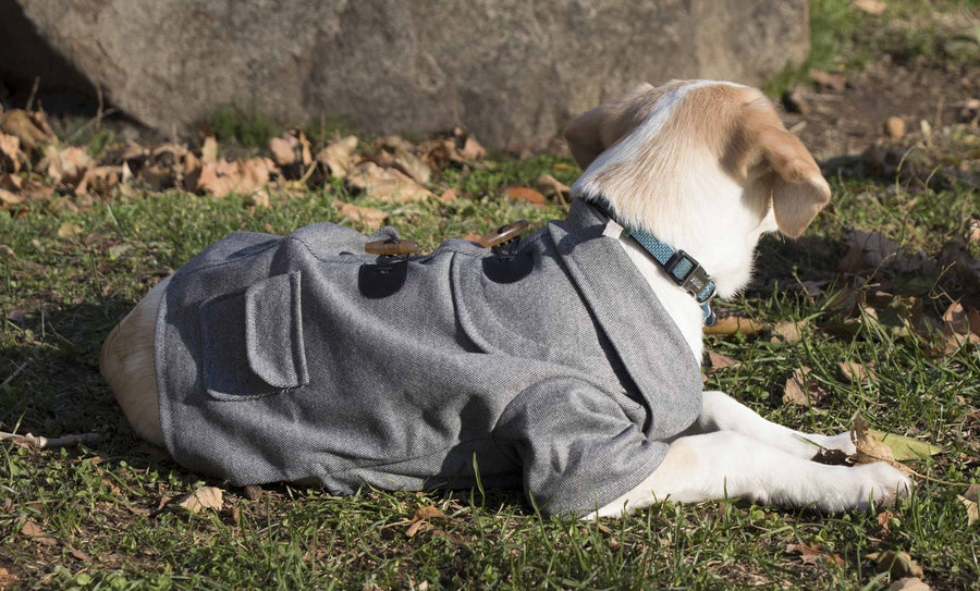 Military Static Rivited Fashion Collared Wool Pet Coat - Apollo's Corner